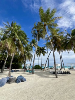 beach, palm trees, chess set and bean bags