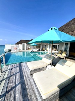 sunbeds / pool / terrace